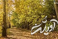 درختان زیبای باغ سعد آباد در فصل پاییز